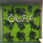 Oura logo viherseinässä